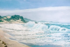 silver-surf